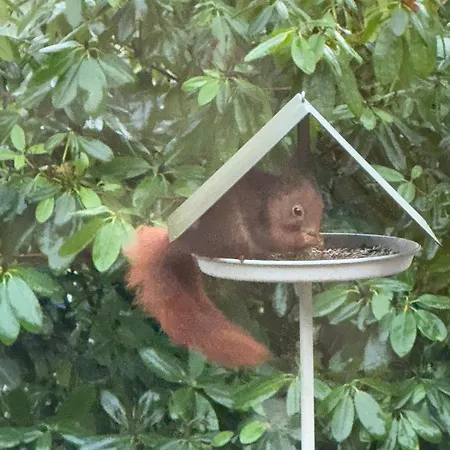 아파트 Am Waeldchen *