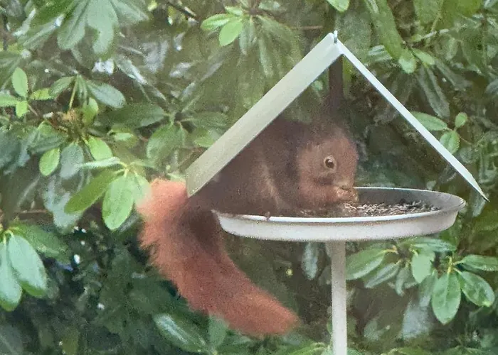 Apartmán Am Waeldchen *